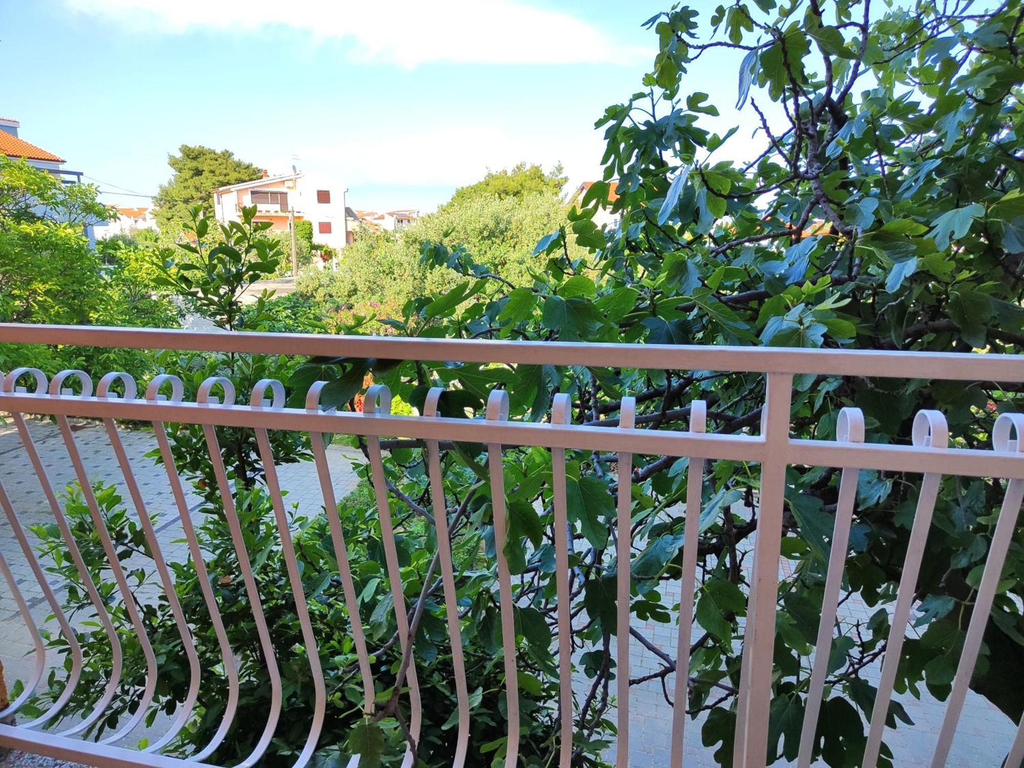 Seka * Vodice